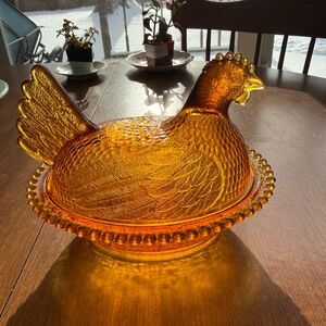 Indiana Amber Hen on Nest *READ*